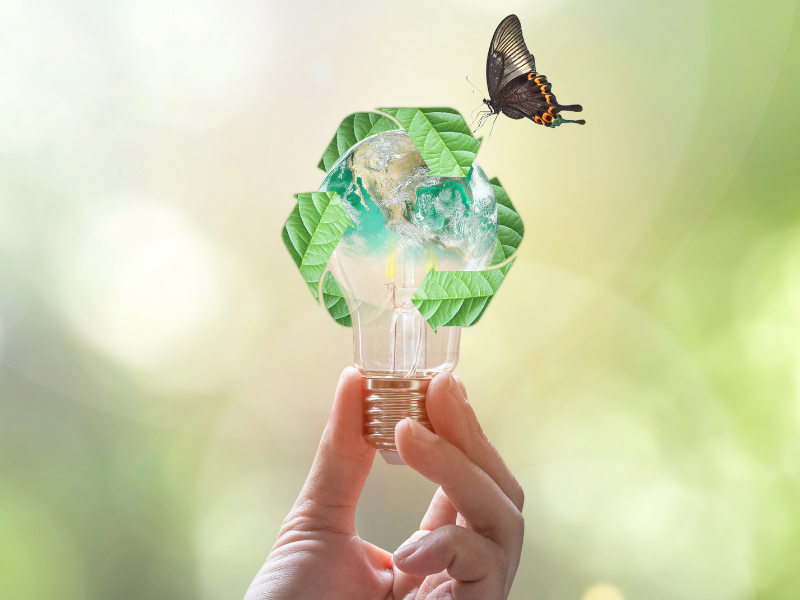 energia solar e sustentabilidade