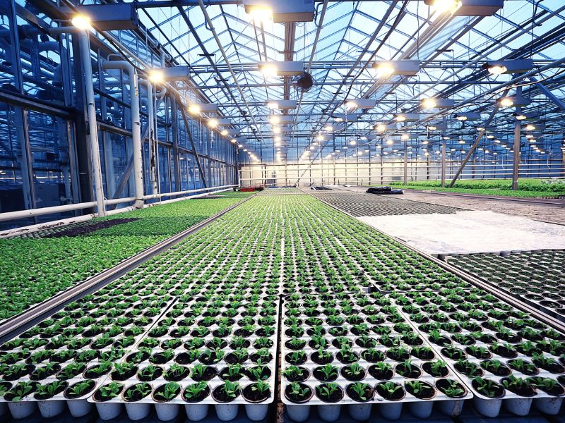 energia solar no agronegócio